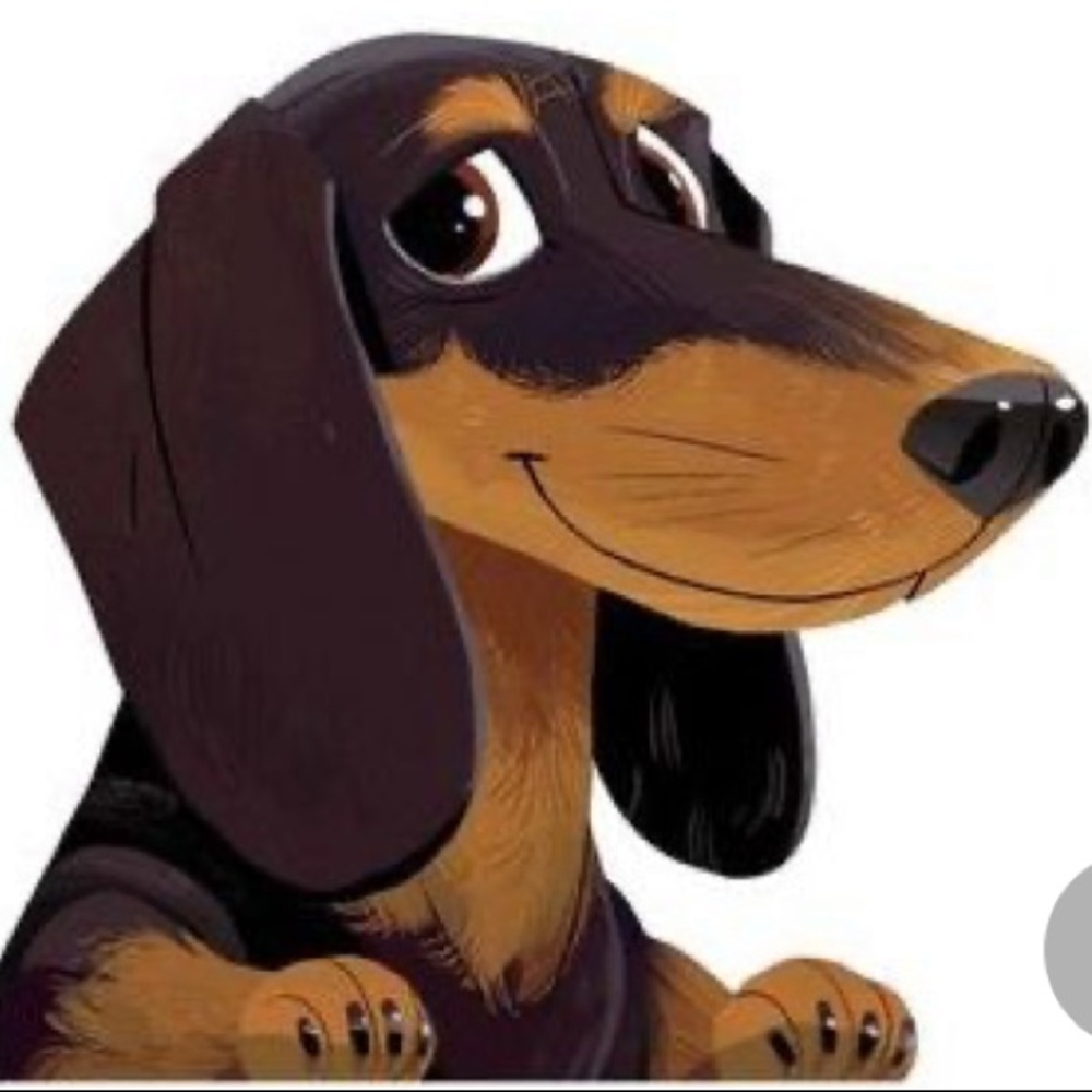 Meet your Posher, Laly